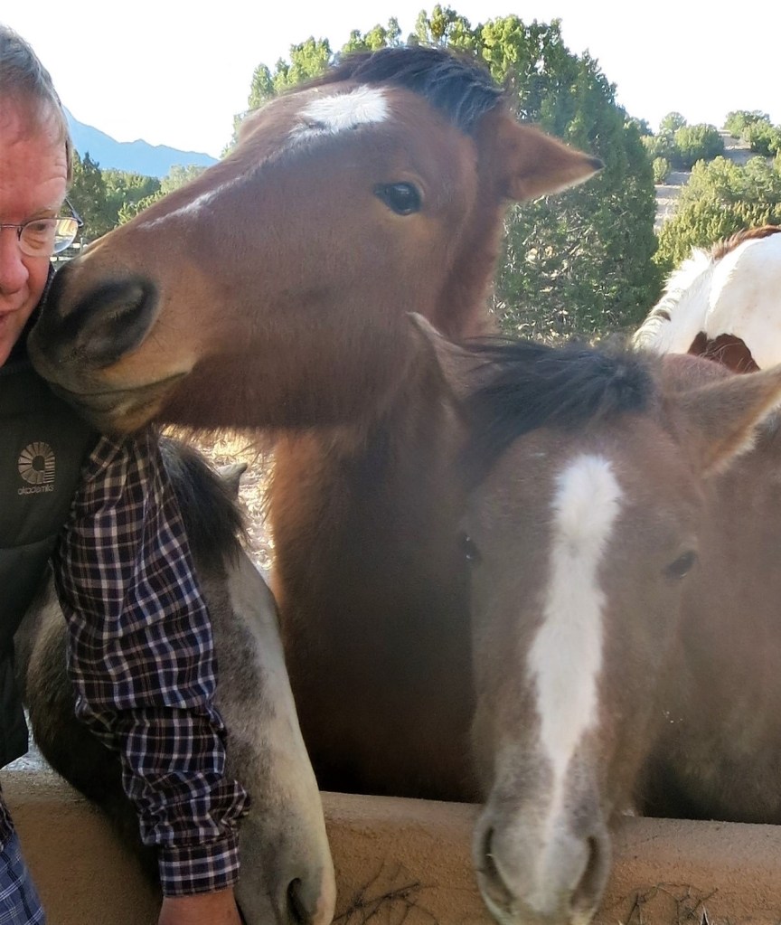 Two wild, brown horses are leaning over a clay house fence outside. In the background are trees found in Southwest American deserts, and the silhouette of mountains peaks out behind them. In the foreground, a man wearing glasses is slightly off screen so that only his arm and half of his face is shown. One of the horses is laying its head on the man's shoulder affectionately.
